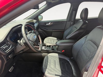 2024 Ford Escape ST-Line Elite